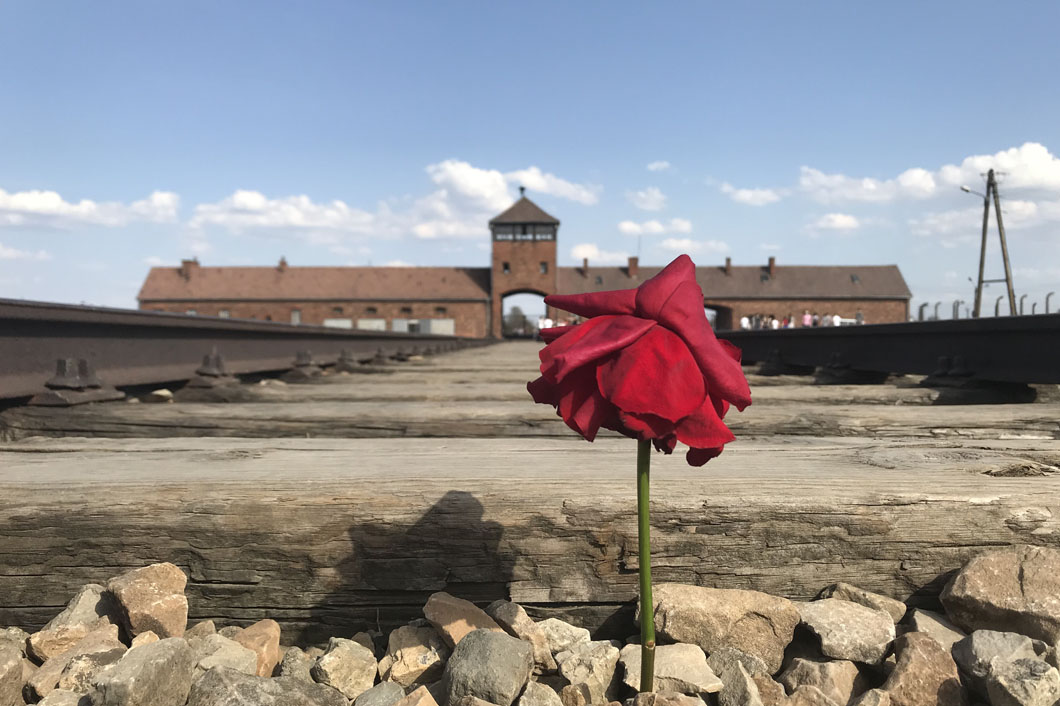 auschwitz-2-never-again-2021-09-03-06-06-59-utc